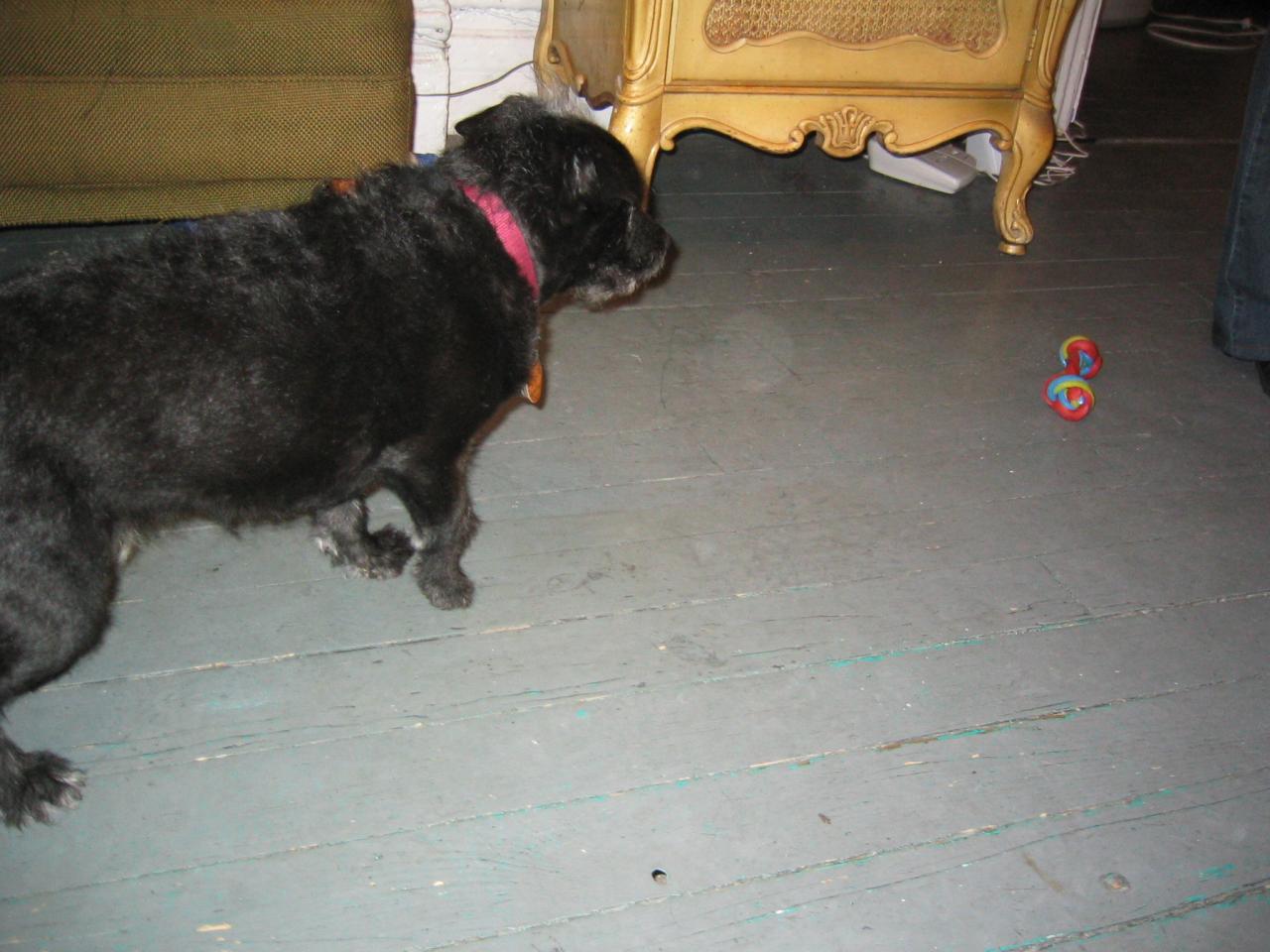 NYC March 8, 2003   Andy's Pics   21