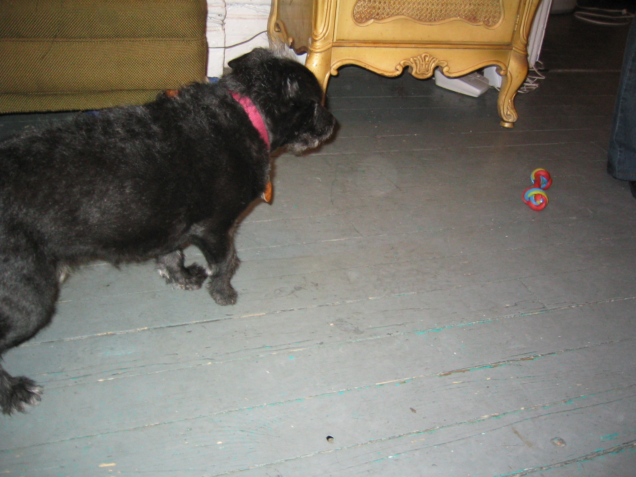 NYC March 8, 2003   Andy's Pics   21