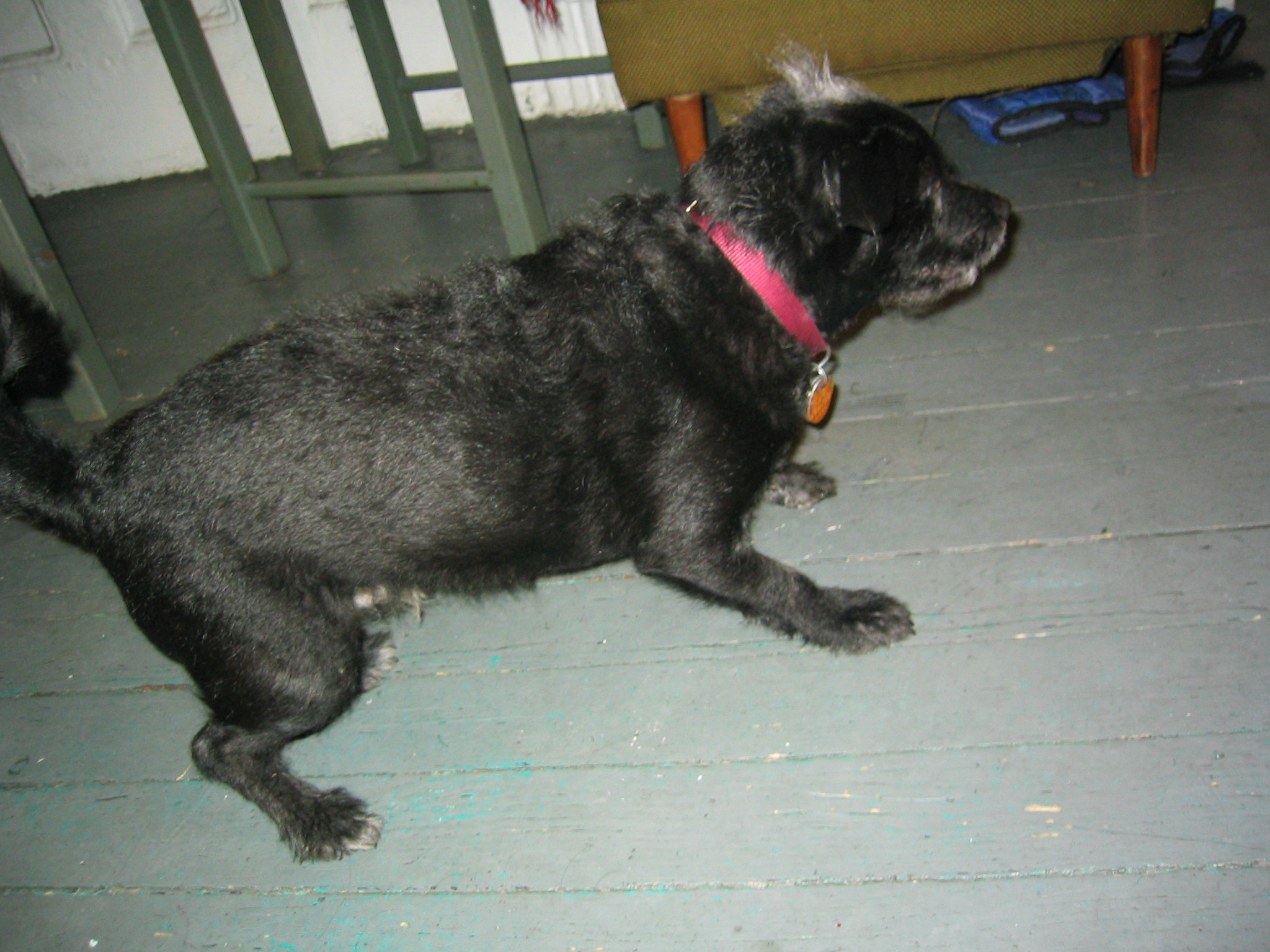 NYC March 8, 2003   Andy's Pics   22