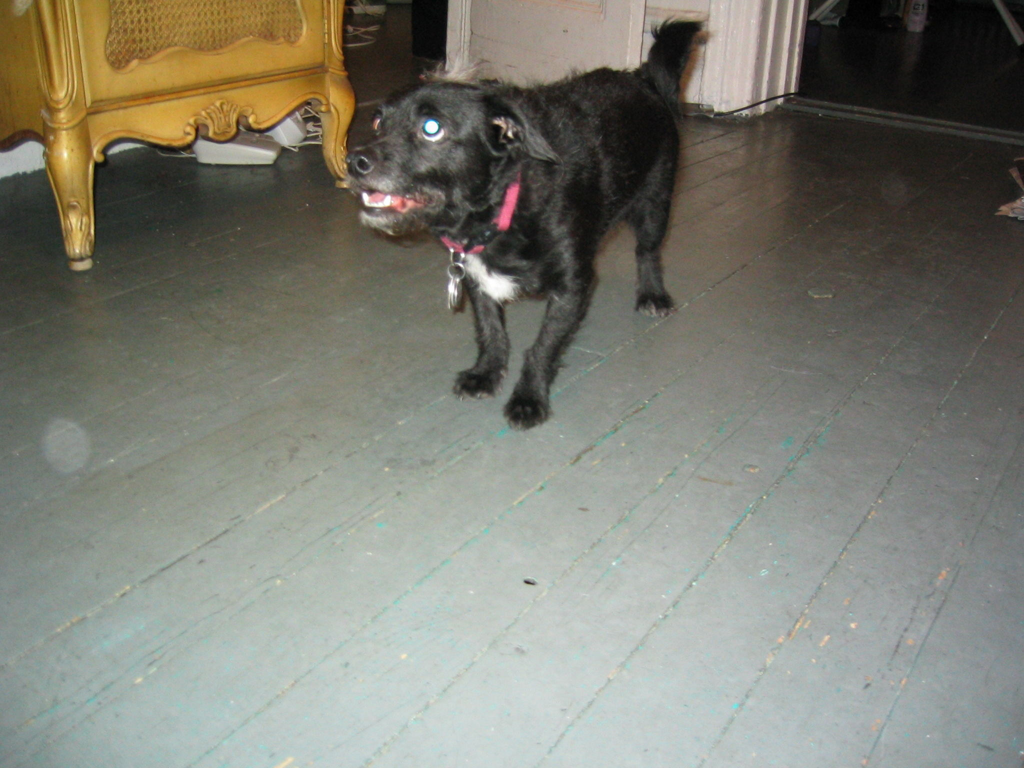 NYC March 8, 2003   Andy's Pics   23