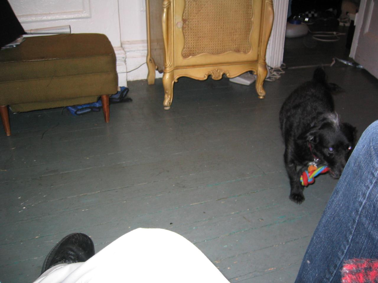 NYC March 8, 2003   Andy's Pics   26