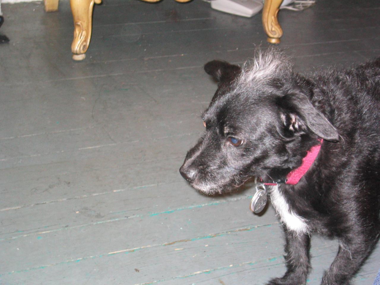 NYC March 8, 2003   Andy's Pics   27