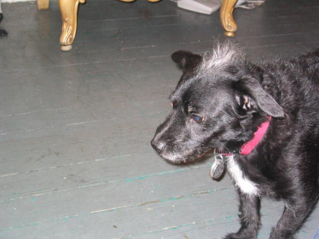 NYC March 8, 2003   Andy's Pics   27