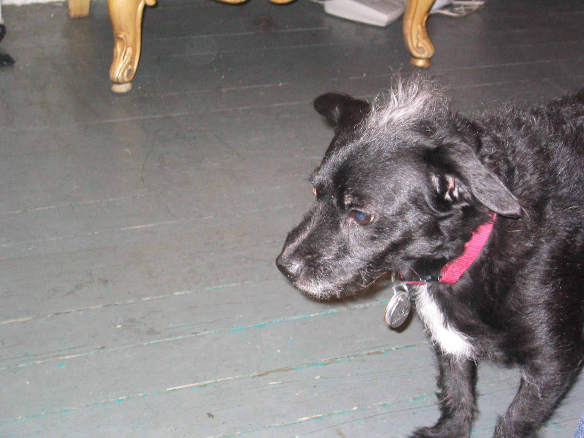 NYC March 8, 2003   Andy's Pics   27