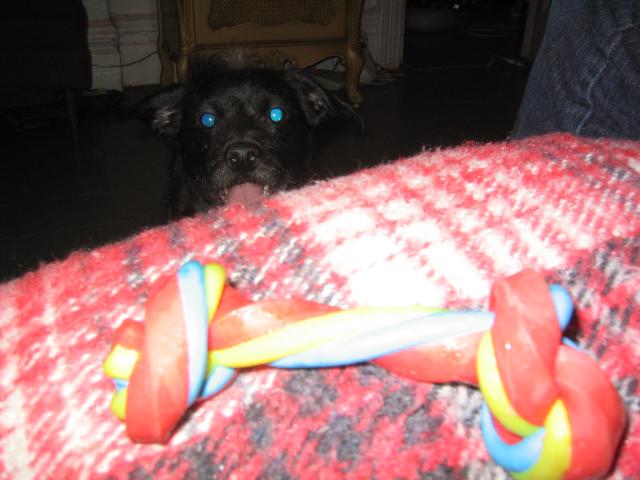 NYC March 8, 2003   Andy's Pics   28