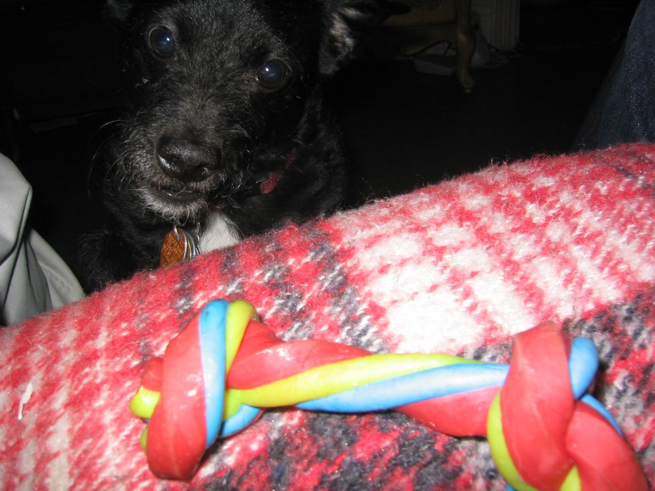 NYC March 8, 2003   Andy's Pics   29