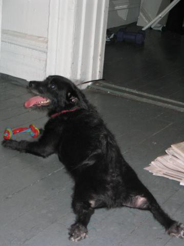 NYC March 8, 2003   Andy's Pics   30