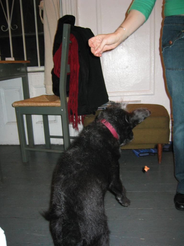 NYC March 8, 2003   Andy's Pics   31