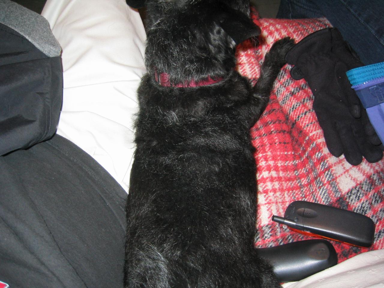 NYC March 8, 2003   Andy's Pics   32