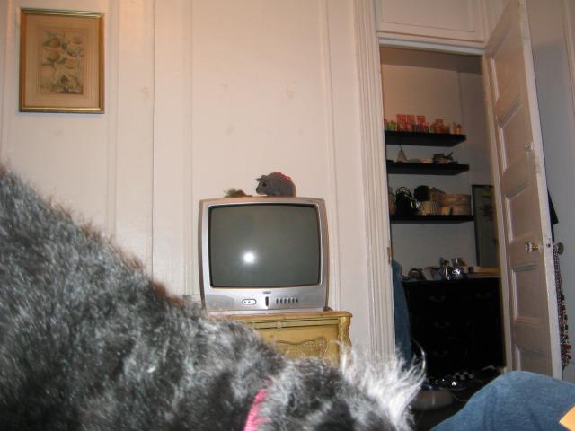 NYC March 8, 2003   Andy's Pics   39