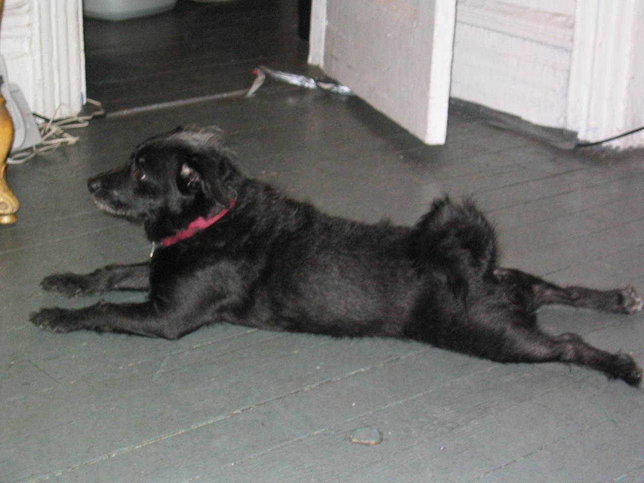 NYC March 8, 2003   Andy's Pics   43