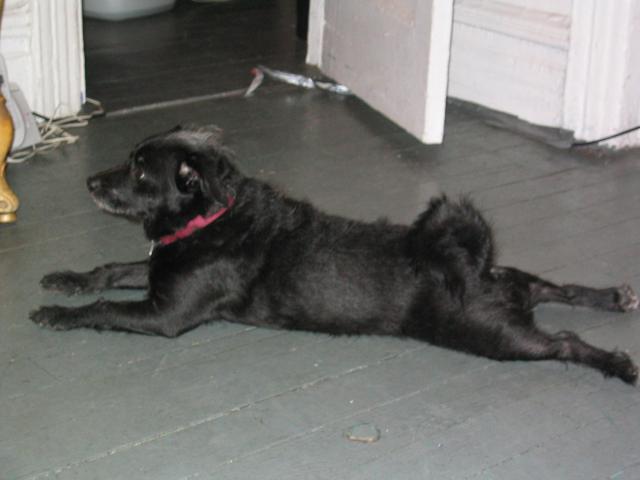 NYC March 8, 2003   Andy's Pics   43