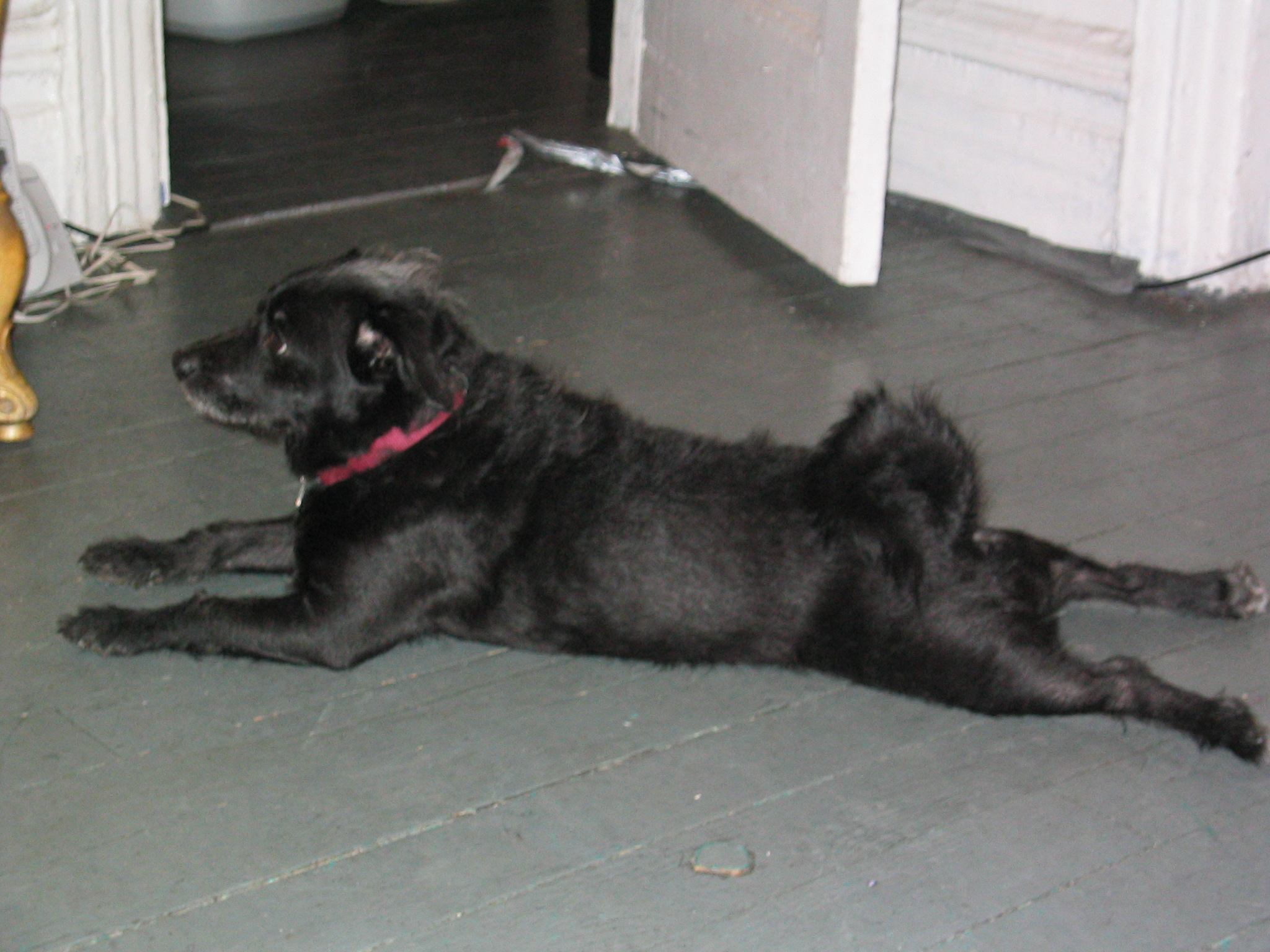 NYC March 8, 2003   Andy's Pics   43