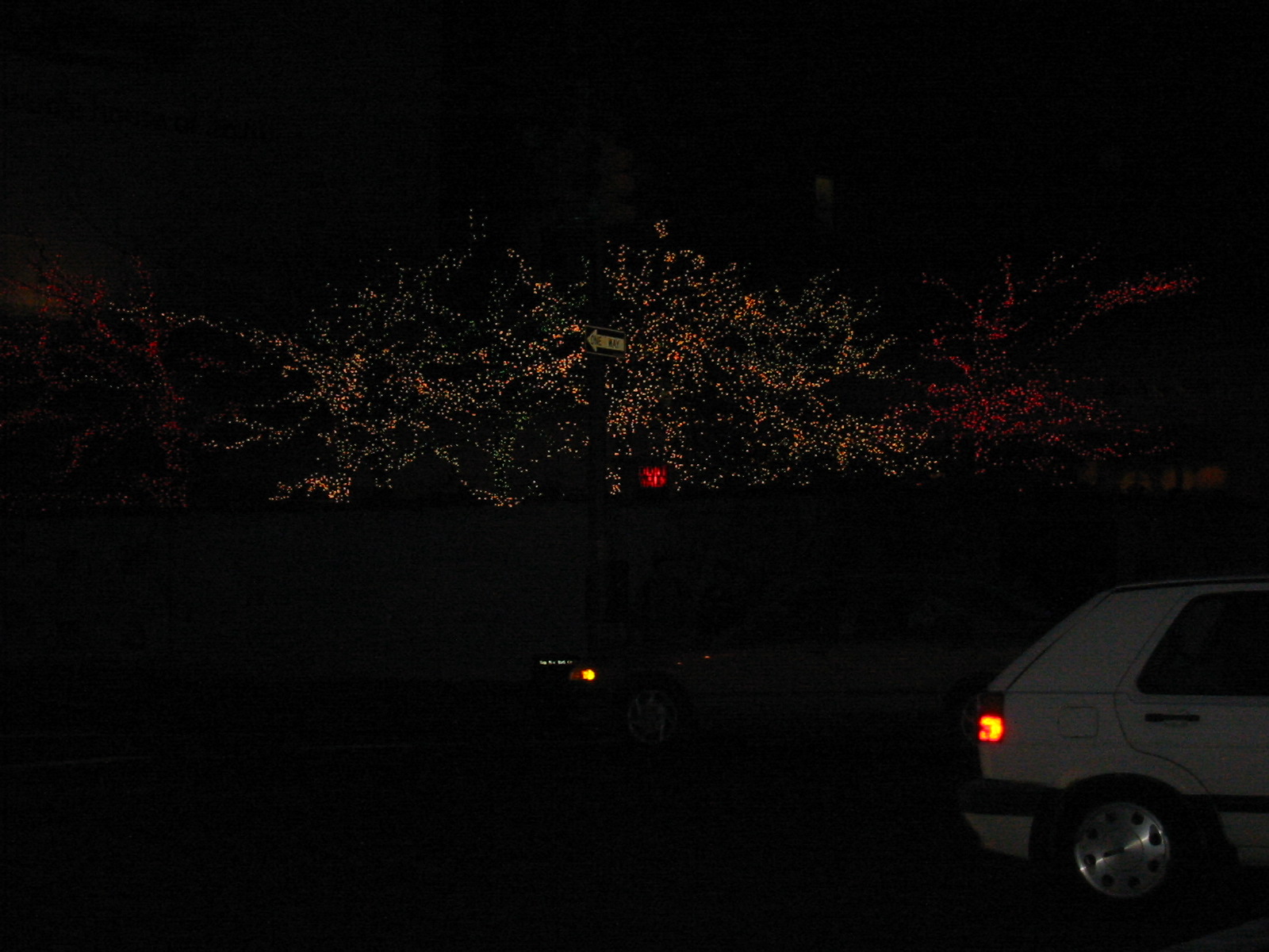 NYC March 8, 2003   Michelle's Pics   05