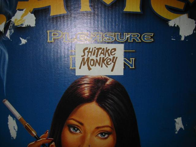 NYC March 8, 2003   Michelle's Pics   08