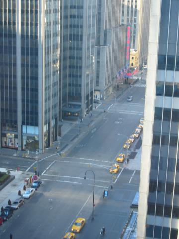 NYC March 8, 2003   Michelle's Pics   12