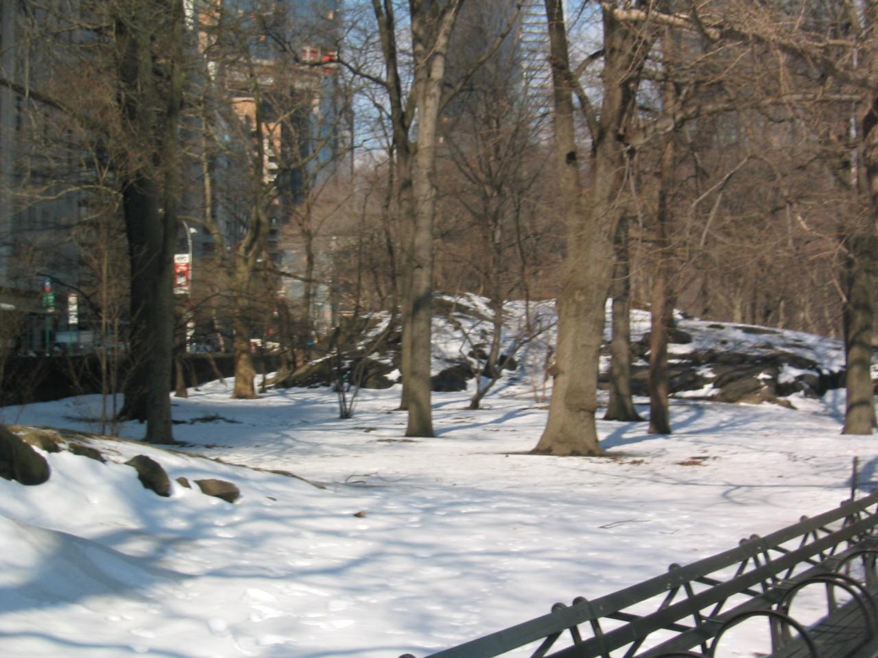 NYC March 9, 2003   Andy's   07