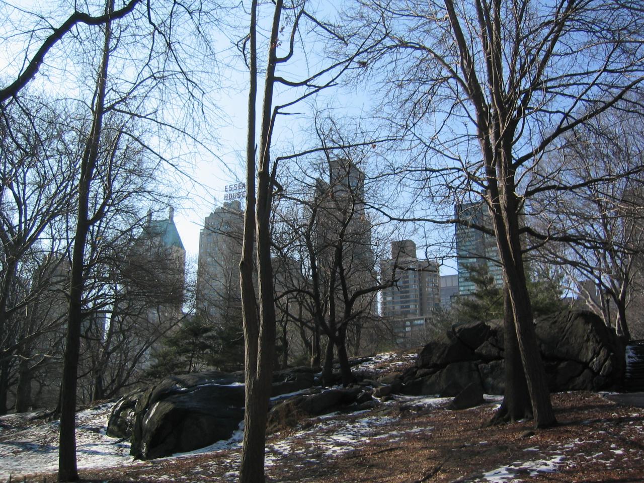 NYC March 9, 2003   Andy's   08