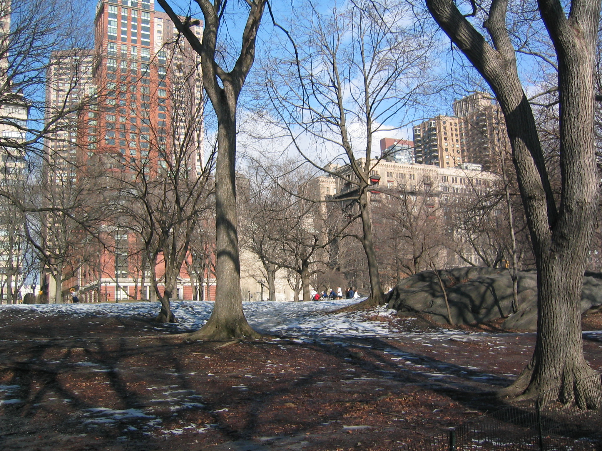 NYC March 9, 2003   Andy's   09