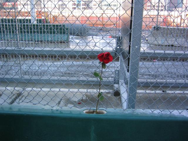 NYC March 9, 2003   Andy's   26