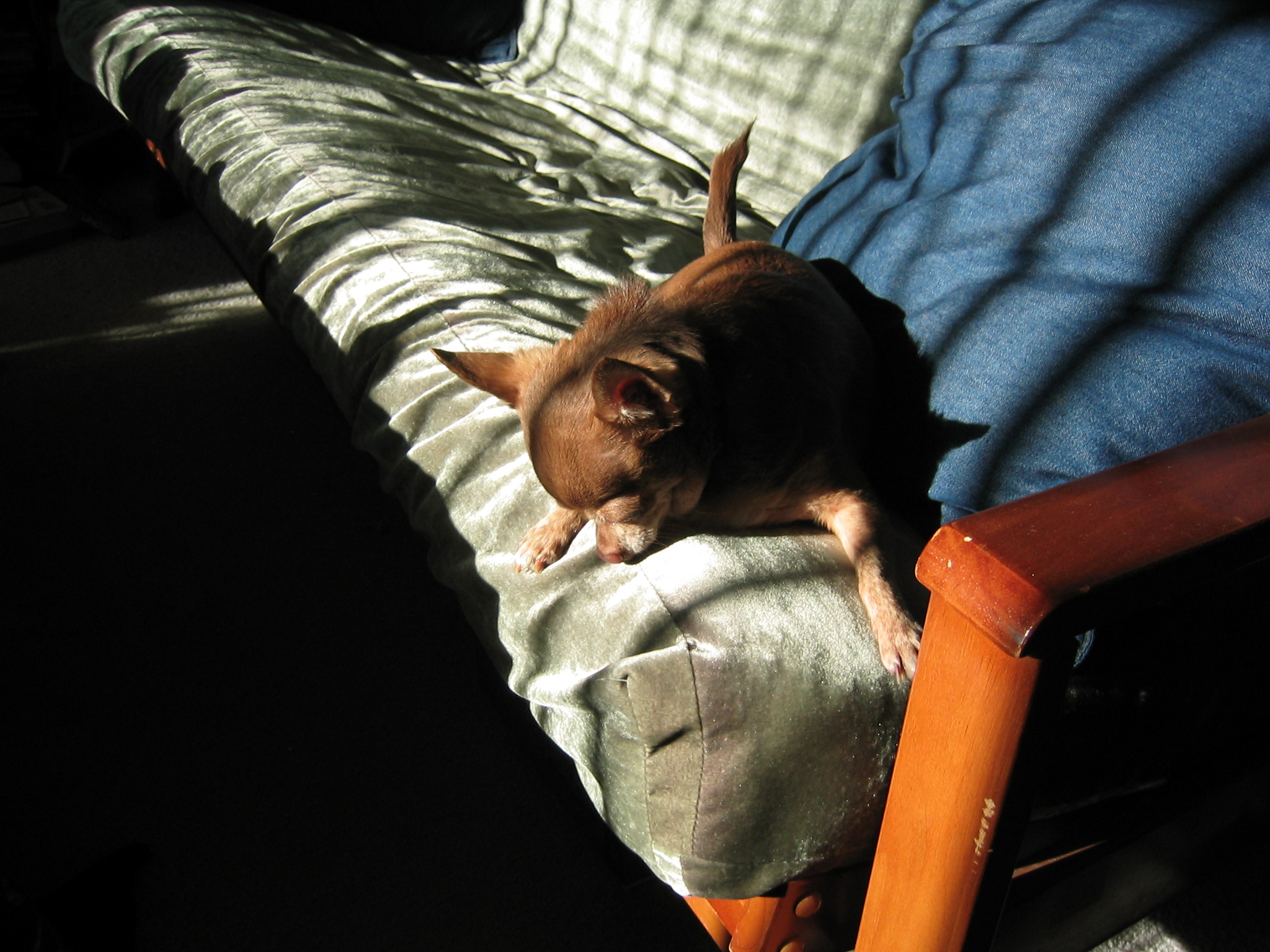 DC March 10, 2003   Andy's   05