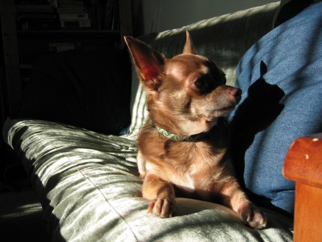 DC March 10, 2003   Andy's   06