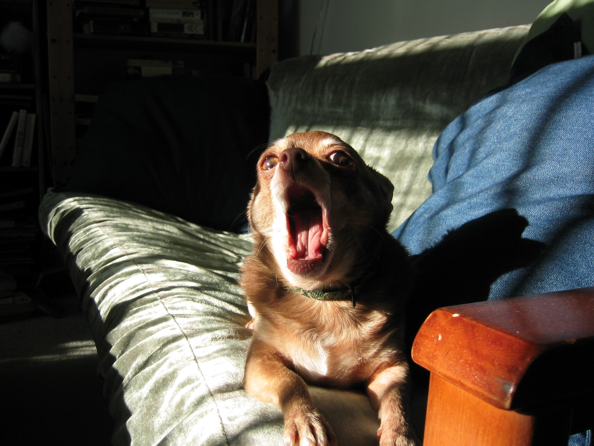 DC March 10, 2003   Andy's   07