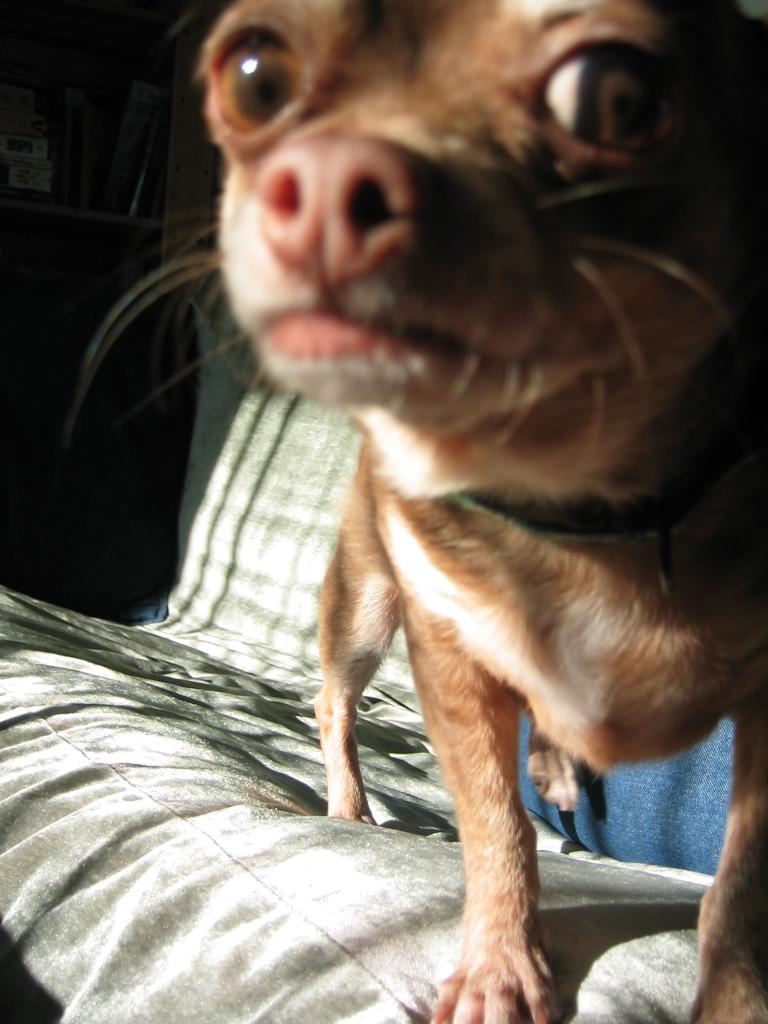 DC March 10, 2003   Andy's   08