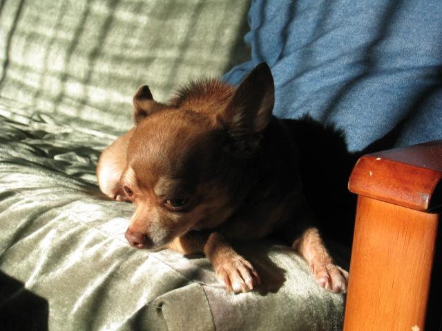 DC March 10, 2003   Andy's   09