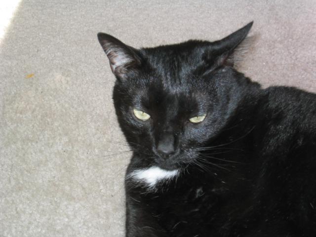 DC March 10, 2003   Andy's   10