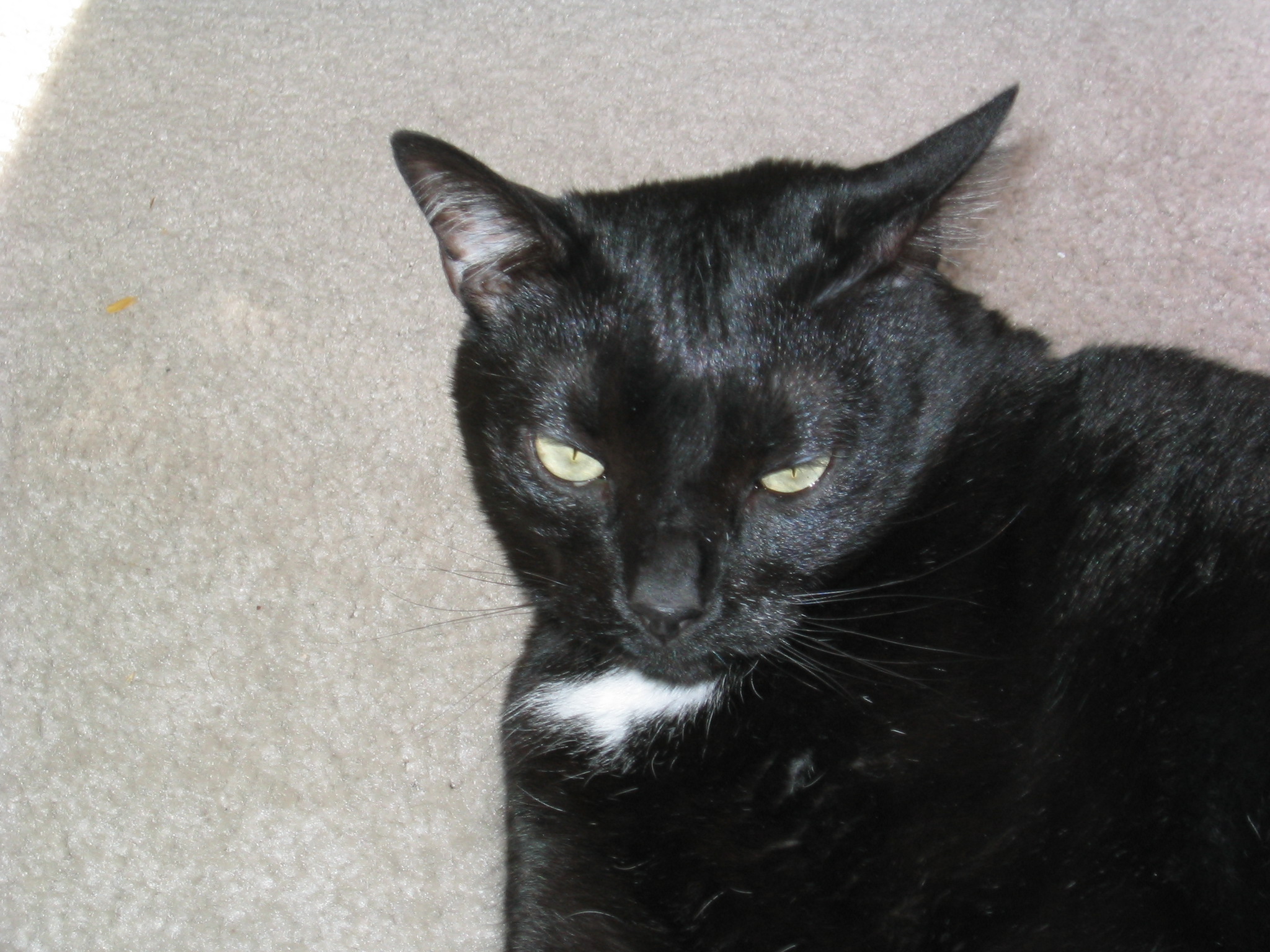 DC March 10, 2003   Andy's   10