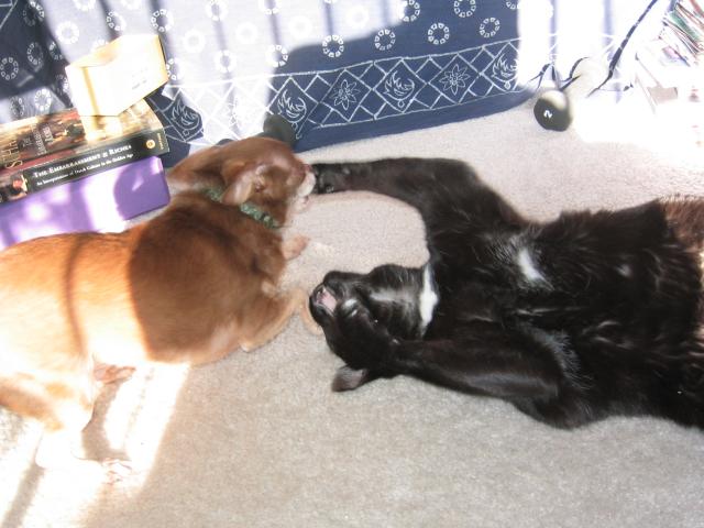 DC March 10, 2003   Andy's   11