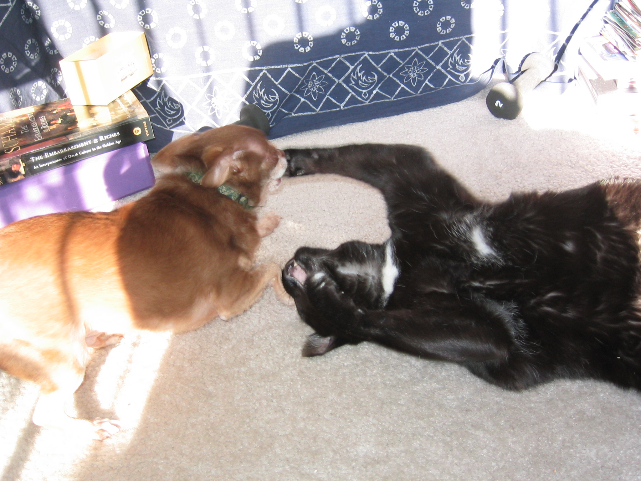 DC March 10, 2003   Andy's   11