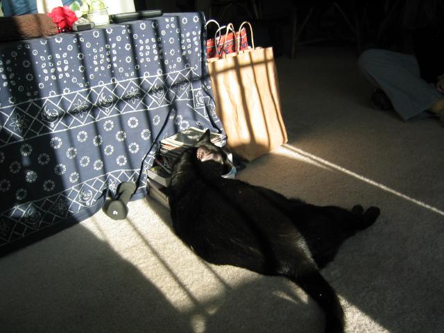 DC March 10, 2003   Andy's   13