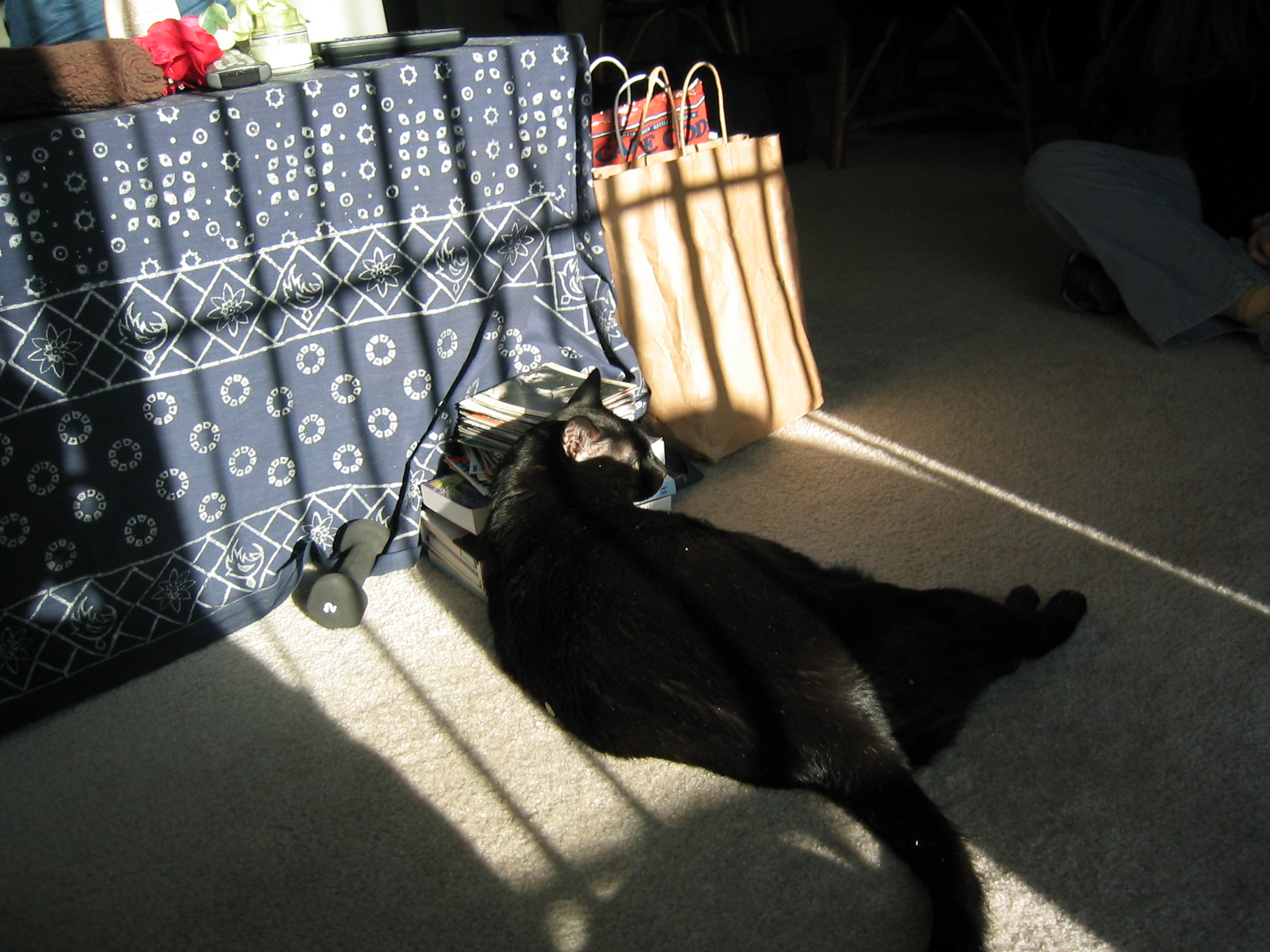 DC March 10, 2003   Andy's   13