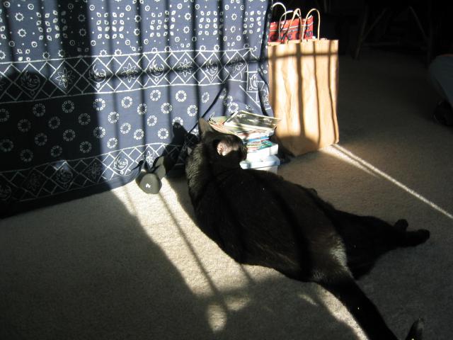 DC March 10, 2003   Andy's   14