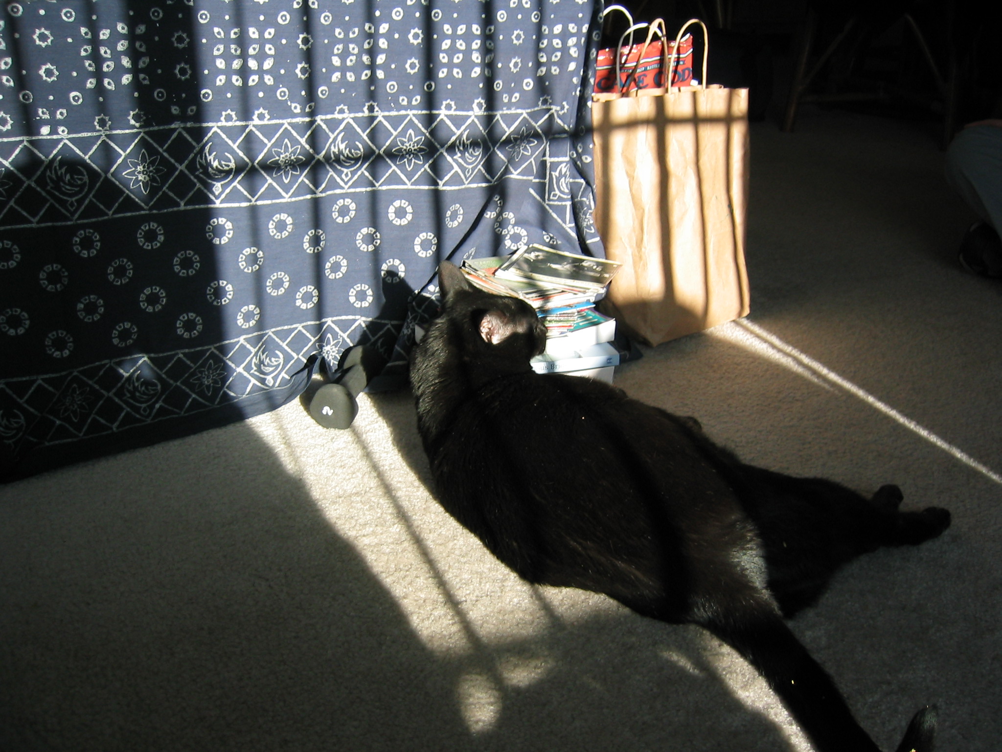 DC March 10, 2003   Andy's   14