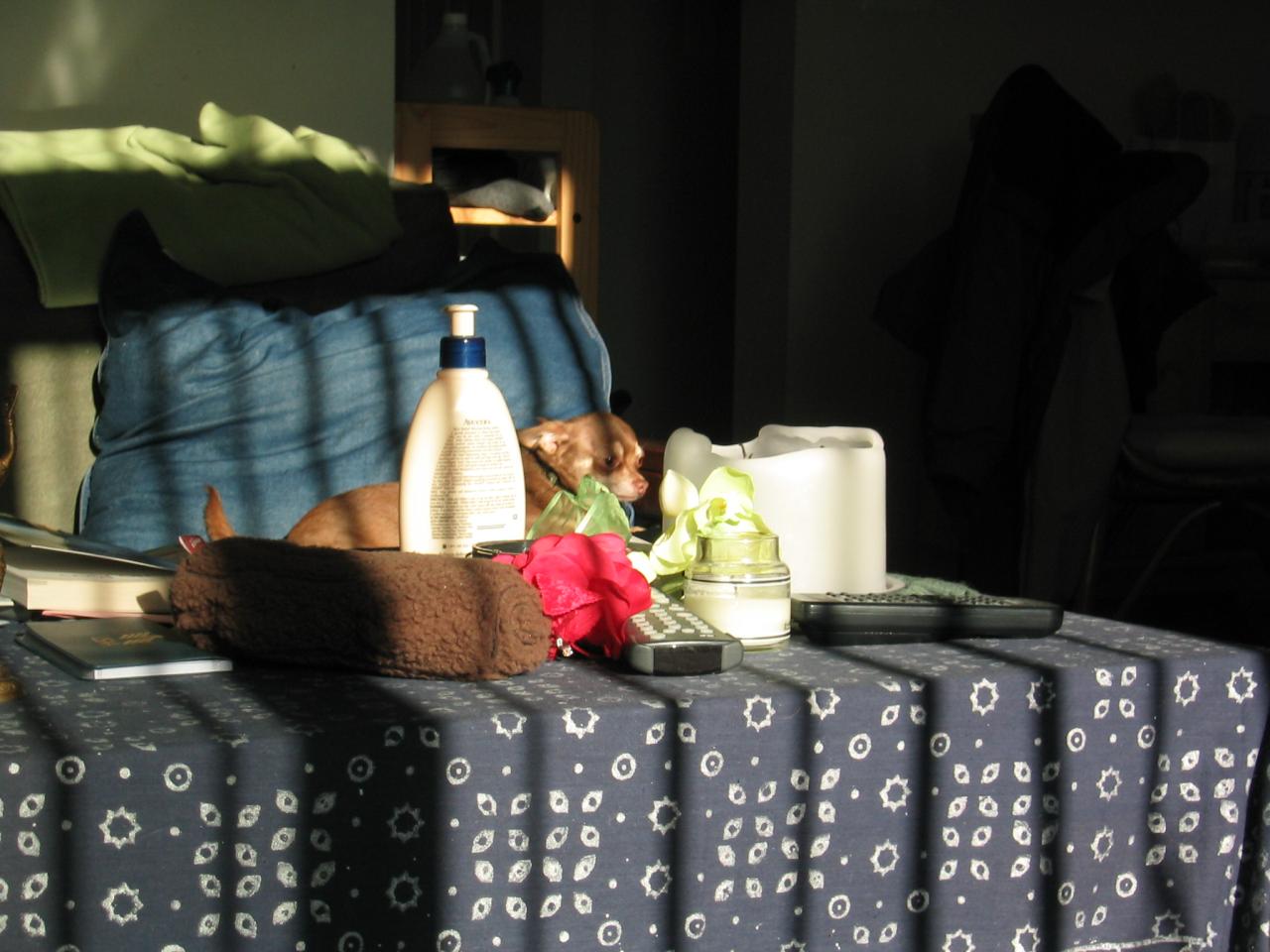 DC March 10, 2003   Andy's   15