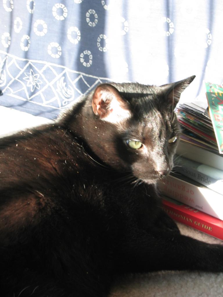 DC March 10, 2003   Andy's   16