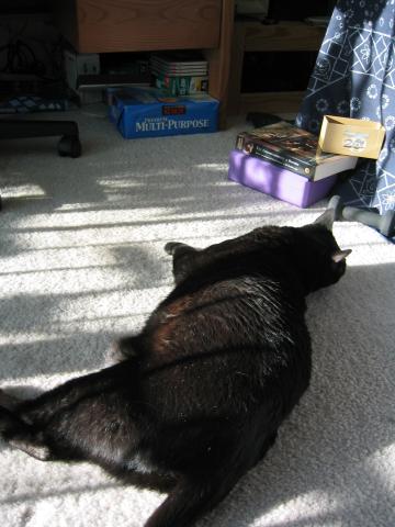 DC March 10, 2003   Andy's   18