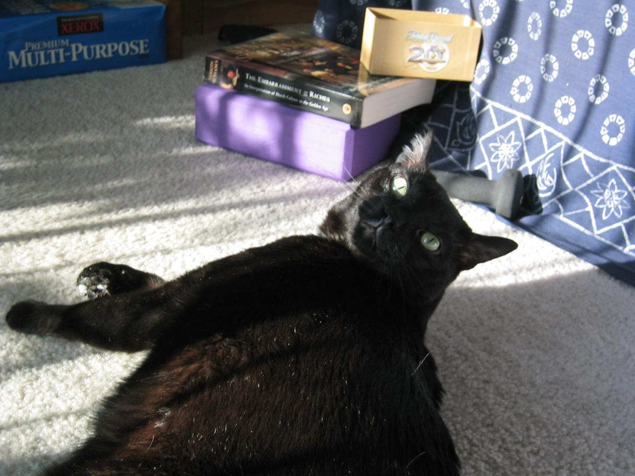 DC March 10, 2003   Andy's   19