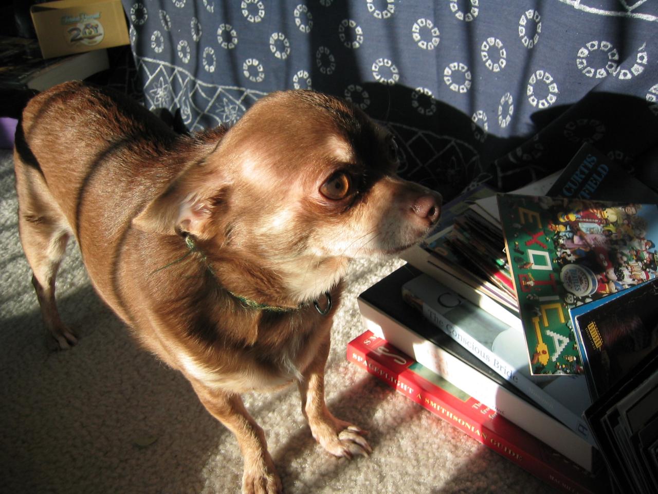 DC March 10, 2003   Andy's   20