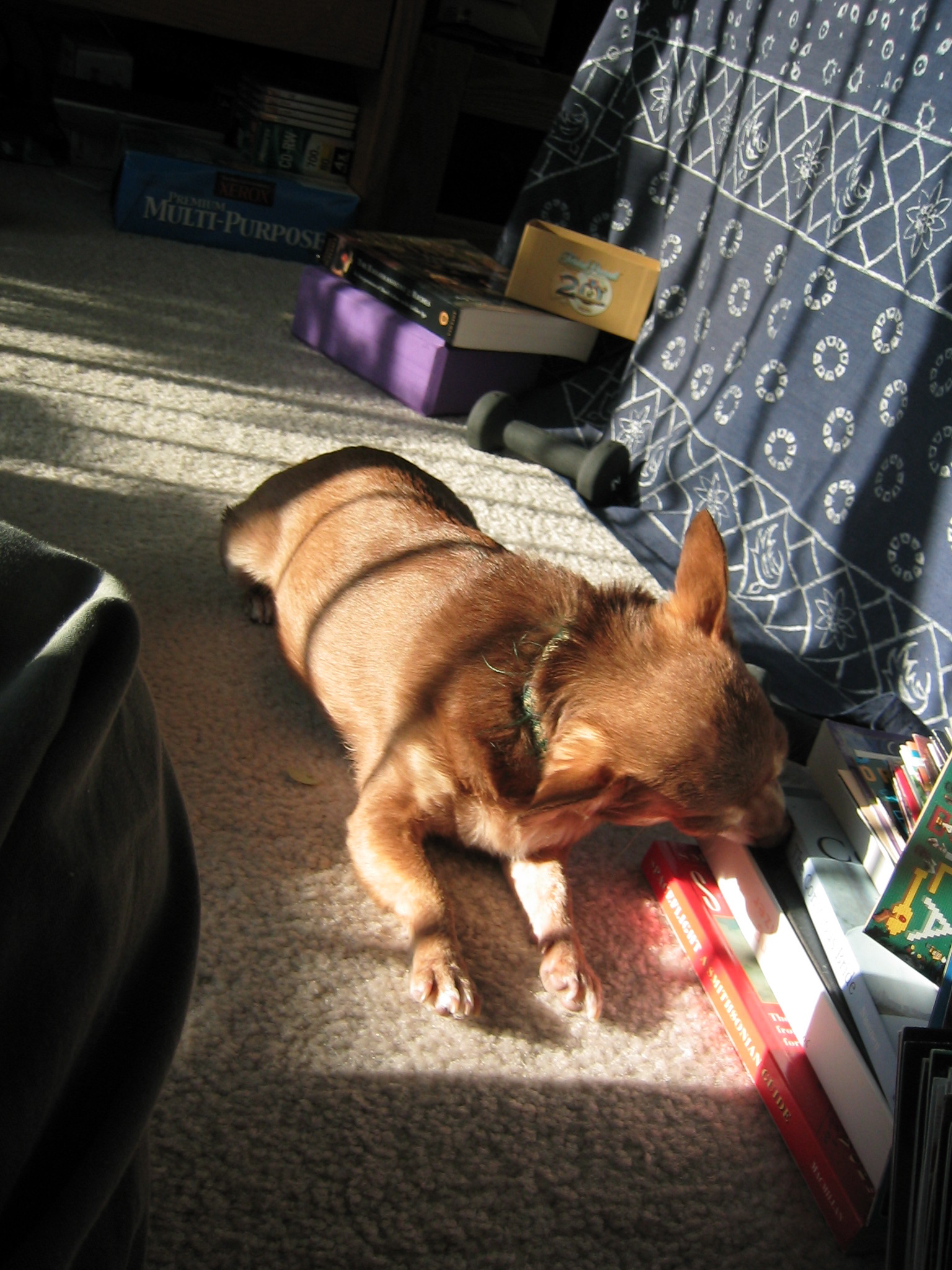 DC March 10, 2003   Andy's   21