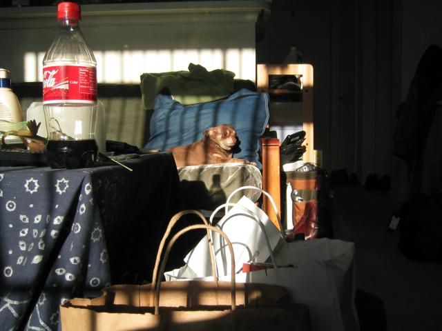 DC March 10, 2003   Andy's   22