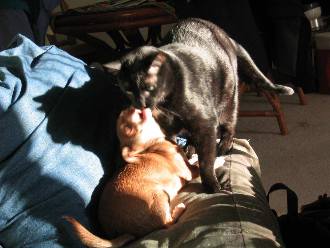 DC March 10, 2003   Andy's   23