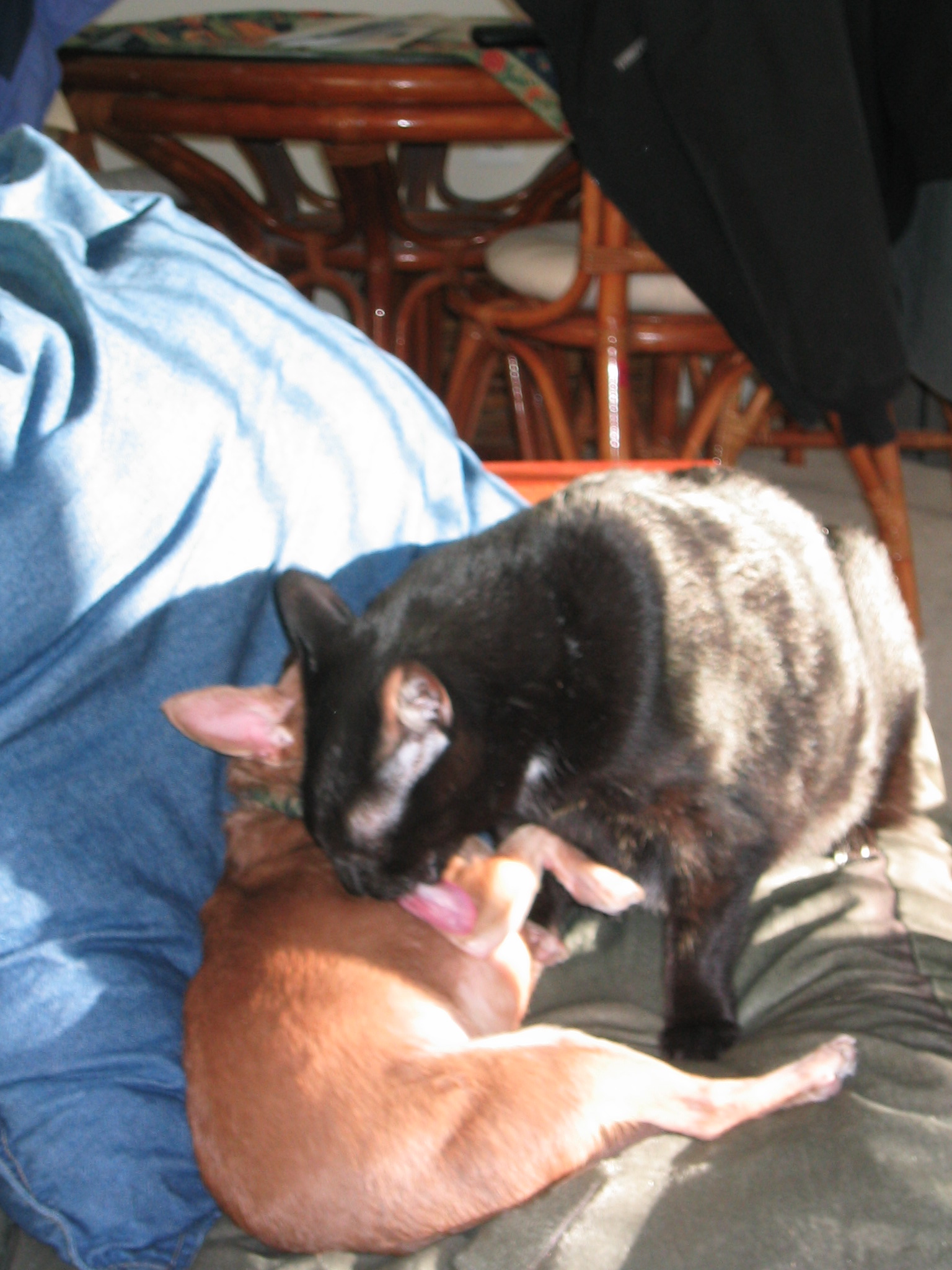 DC March 10, 2003   Andy's   24