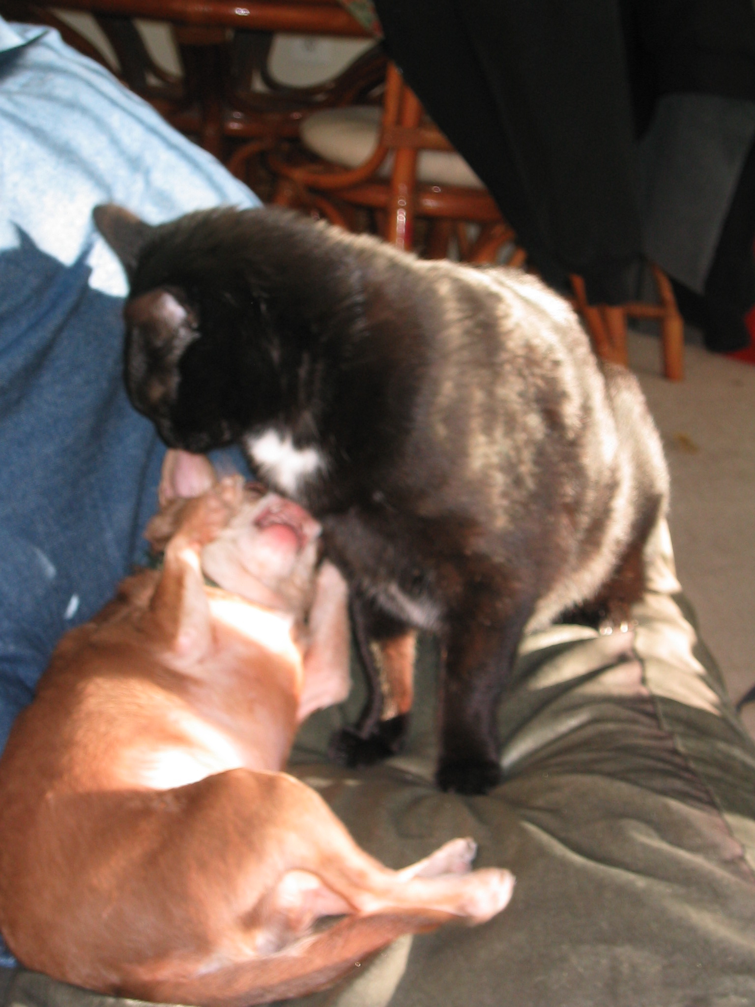 DC March 10, 2003   Andy's   25