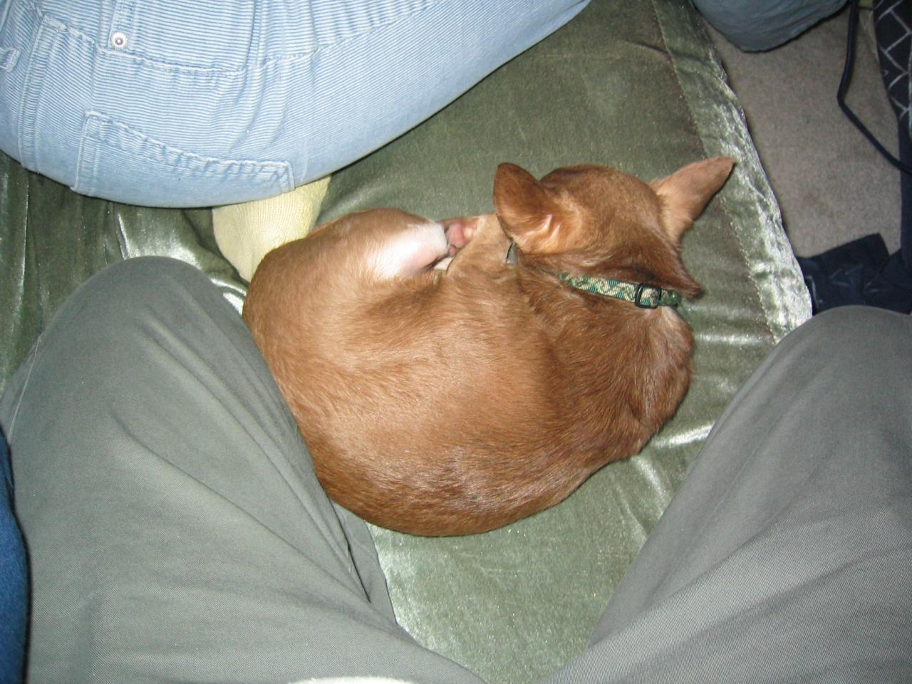 DC March 10, 2003   Andy's   27