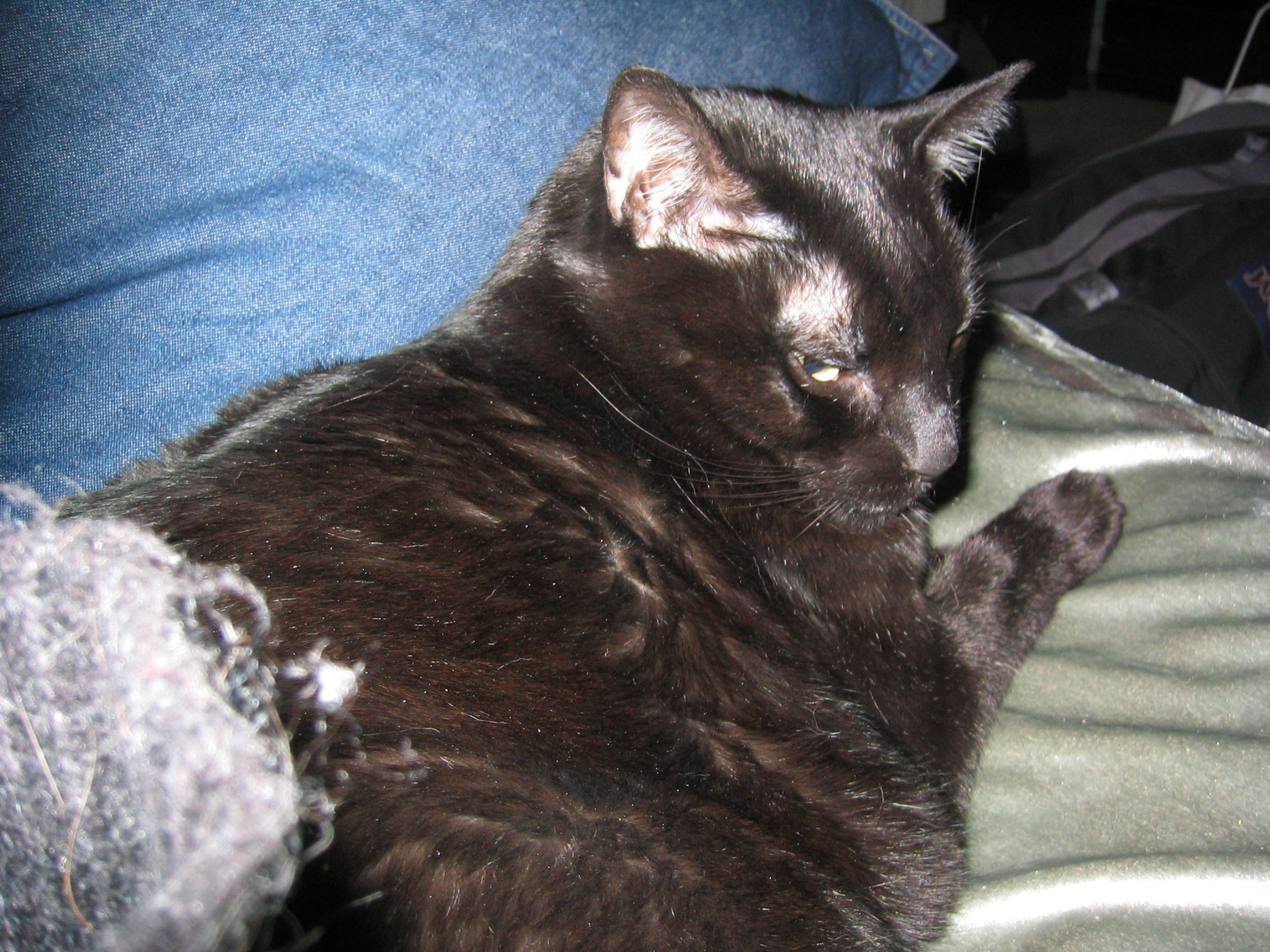 DC March 10, 2003   Andy's   37