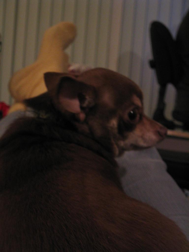 DC March 10, 2003   Andy's   39